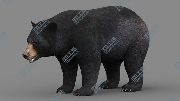 images/goods_img/20210312/Black Bear model/2.jpg